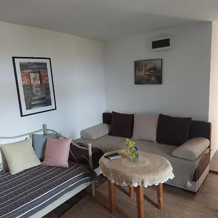 Апартаменты Nesic Apartmani, Gornji Gajevi *