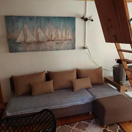 Nesic Apartmani, Gornji Gajevi Апартаменты *